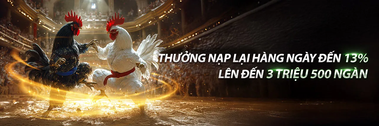 Hình ảnh đá gà Thomo 20 2 2023